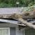 Evarts Fallen Tree by Kentucky Disaster Restoration, LLC