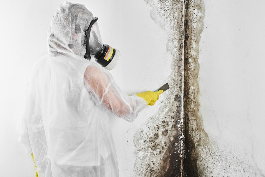 Mold Removal Services by Kentucky Disaster Restoration, LLC