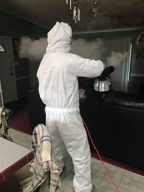 Mold Removal in Manchester, Kentucky (2)