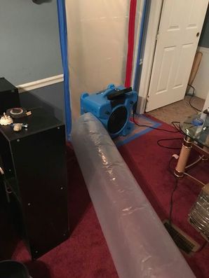 Mold Removal in Manchester, Kentucky (1)