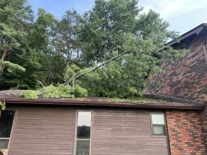 Fallen Tree Services in Middlesborough, KY (4)