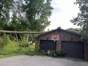 Fallen Tree Services in Middlesborough, KY (3)