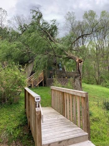 Fallen Tree Restoration in Hardburly, Kentucky by Kentucky Disaster Restoration, LLC